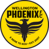 Wellington Phoenix-2 logo