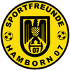 Hamborn 07 logo