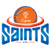 Wellington Saints logo