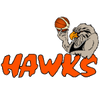 Taylor Hawkes logo