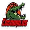 Cocodrilos de Caracas logo