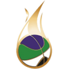 CEB Puerto Montt logo