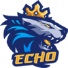 ECHO e-Sports logo