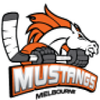 Melbourne Mustangs logo