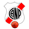 Nacional Potosi BC logo
