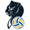 Imoco Volley Conegliano (w) logo