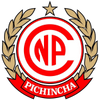 Pichincha Potosí logo