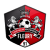 Fleury (w) logo