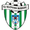 Tj Slovan Bzenec logo